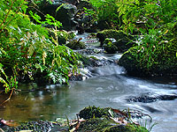 Nejjižnější bod ČR