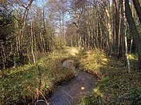 Nejzápadnější bod ČR